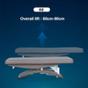Table de thérapie grise de lit de Massage de station thermale réglable électrique pour le Salon