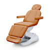 Chaise faciale cosmétique de cils de table de massage électrique grise